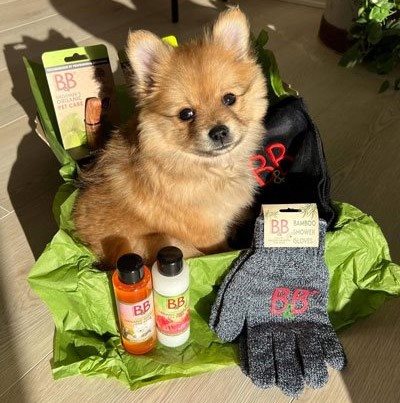 B&B Økologisk Hundeshampoo