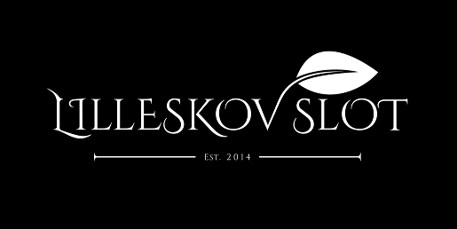 Lilleskov slot